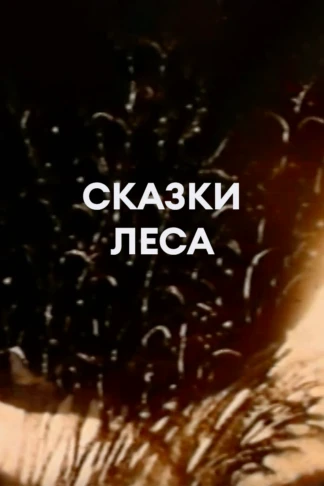 Сказки леса