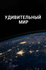 Удивительный мир