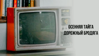 Осенняя тайга - Дорожный бродяга