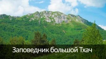 Заповедник большой Тхач