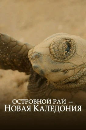 Островной рай - Новая Каледония