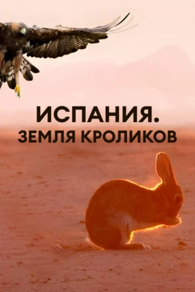 Испания. Земля кроликов
