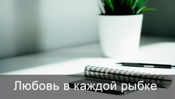 Любовь в каждой рыбке