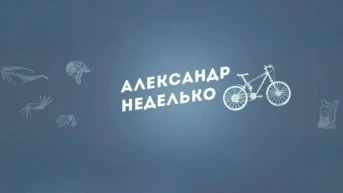 Александр Неделько