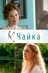 Чайка