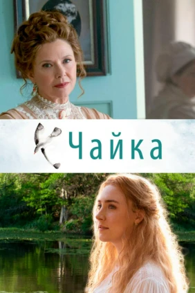 Чайка