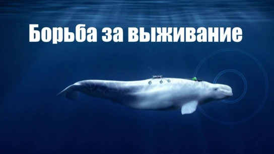 Борьба за выживание