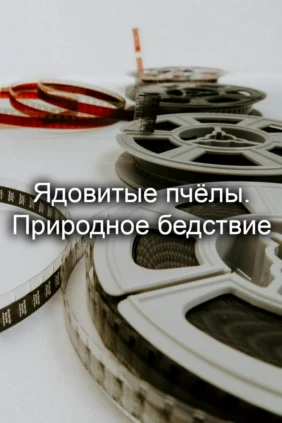 Ядовитые пчёлы. Природное бедствие