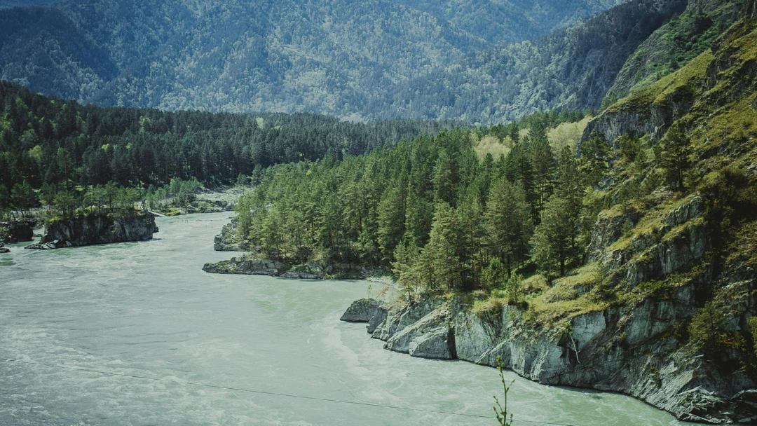 Передача Верхняя Катунь