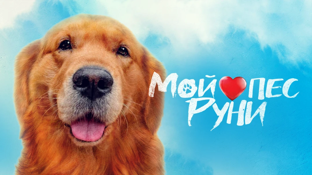 Фильм Мой пёс Руни