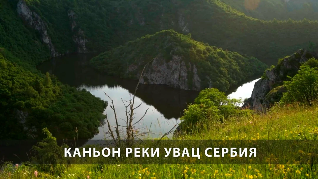 Передача Каньон реки Увац Сербия