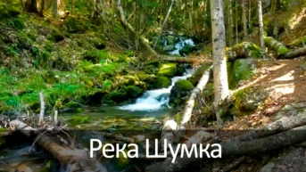 Река Шумка