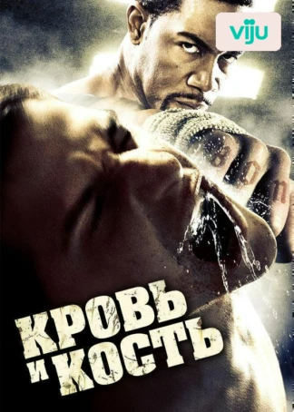 Кровь и кость