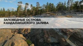 Заповедные острова Кандалакшского залива