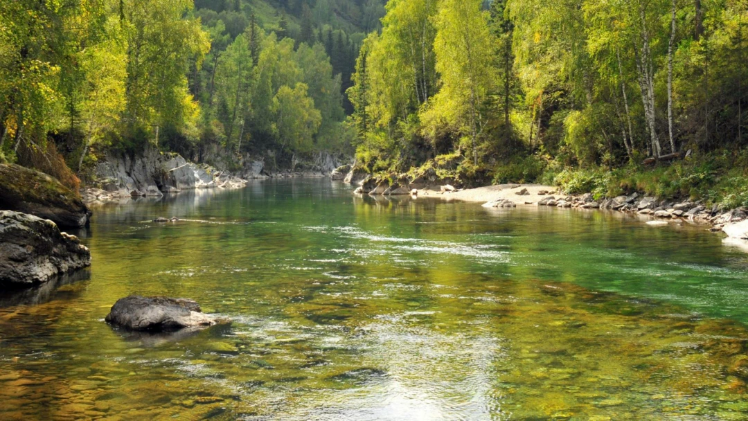 Передача Река Кумир