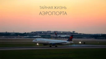 Тайная жизнь аэропорта