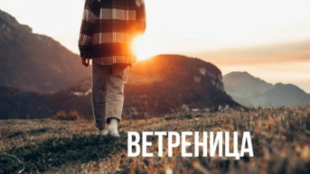 Ветреница