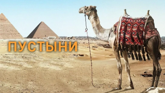 Пустыни
