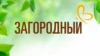 Загородный