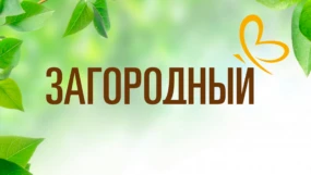 Загородный