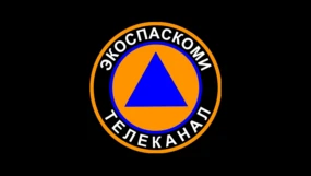ЭКОСПАСКОМИ