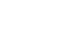 BRIDGE TV