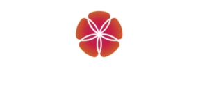 Дорама HD