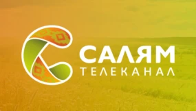 Салям