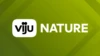 viju Nature