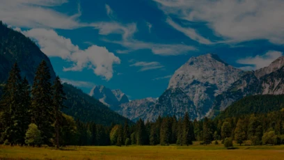 TERRA