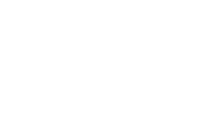 Русский роман