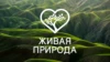 Живая природа HD