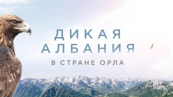 Дикая Албания. В стране орла