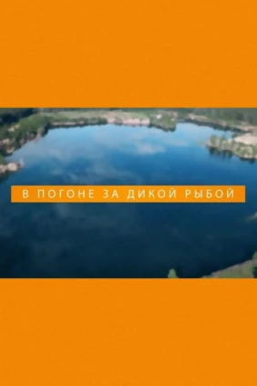 В погоне за дикой рыбой