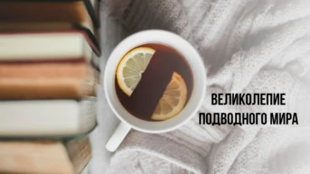 Великолепие подводного мира