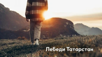 Лебеди Татарстан