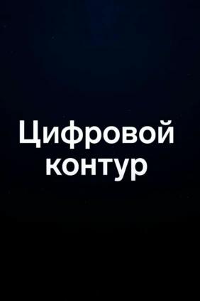Цифровой контур