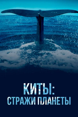Киты: Стражи планеты