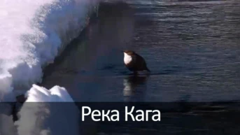Река Кага