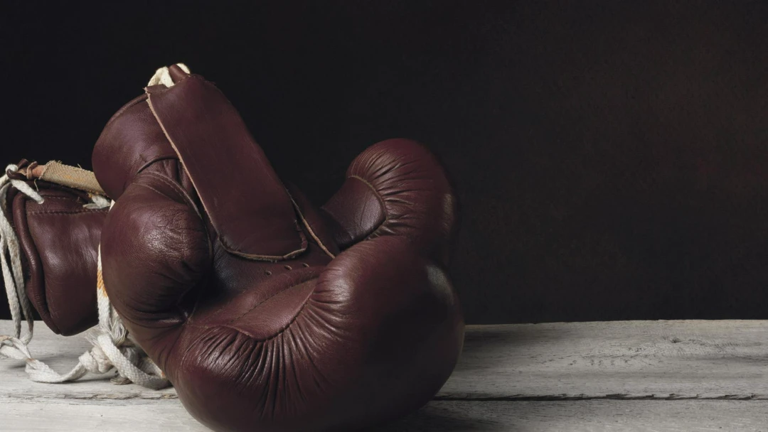 Передача Fighting Rookies 2014