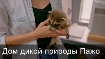 Дом дикой природы Пажо
