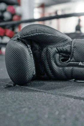 Шоу Octagon 16 (MMA, профессионалы)