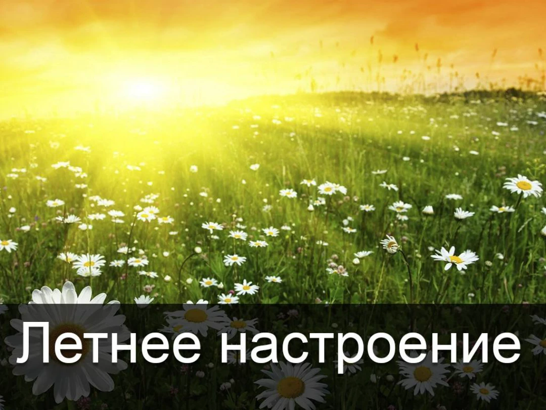 Передача Летнее настроение