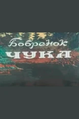Бобрёнок Чука