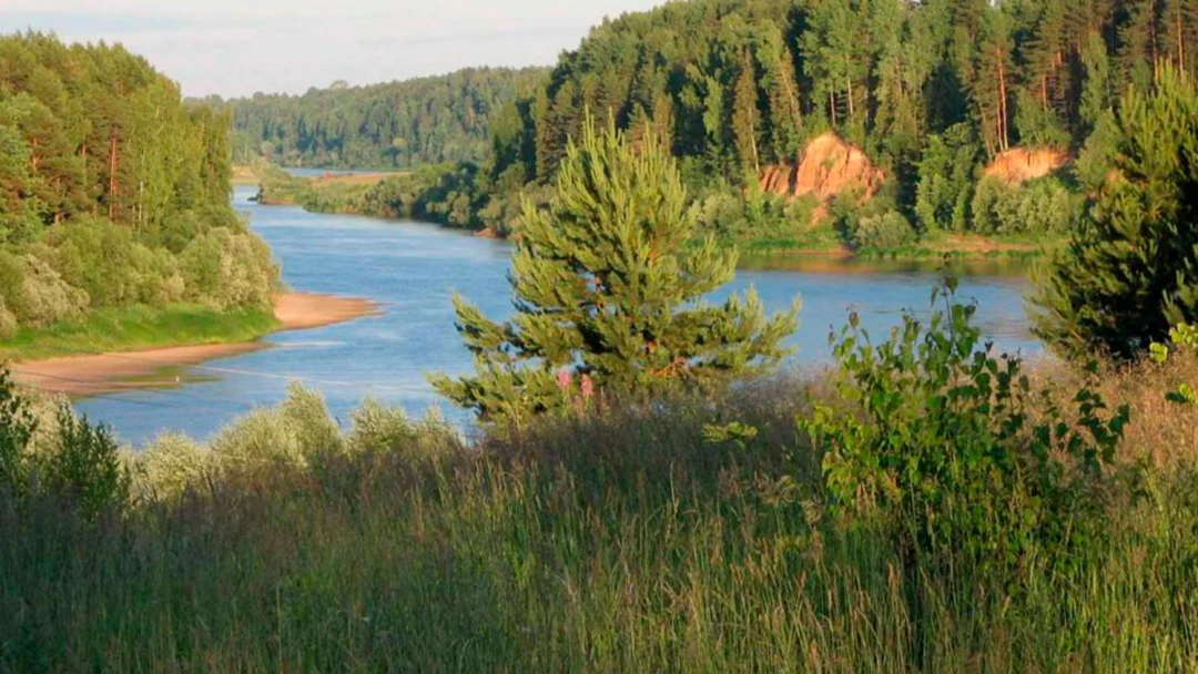 Фильм Ветлуга