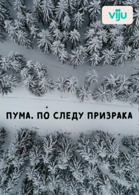 Пума. По следу призрака