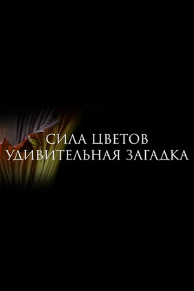 Сила цветов. Удивительная загадка