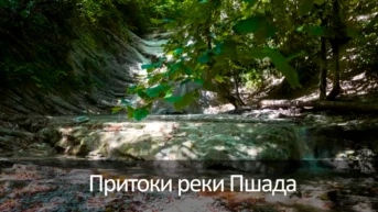 Притоки реки Пшада