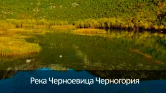 Река Черноевица Черногория