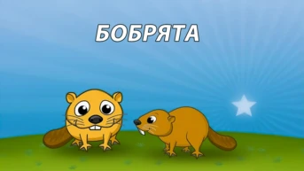 Бобрята